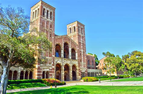 ucla niche|More.